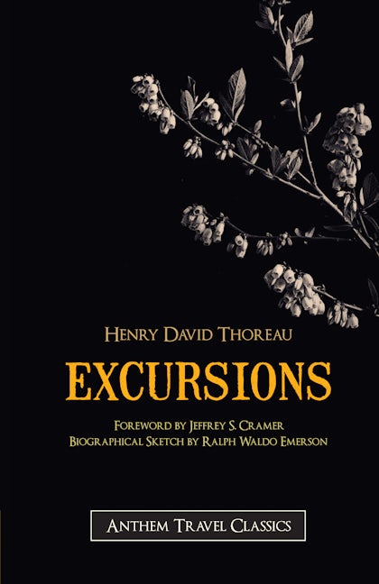 Book cover image for Excursions ISBN: 9781843312918